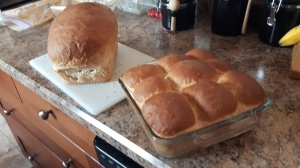 Coconut Oil and Honey bread and buns 